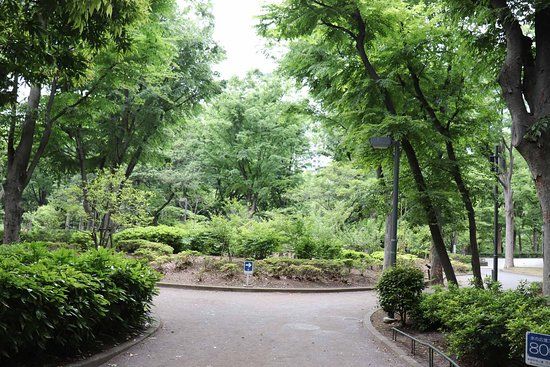 新宿中央公園ビオトープ